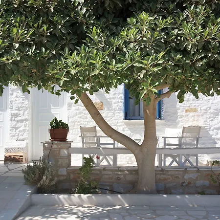 Margarita Otel