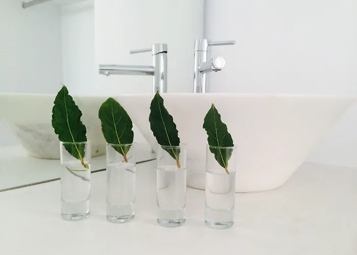 Margarita Амбелас