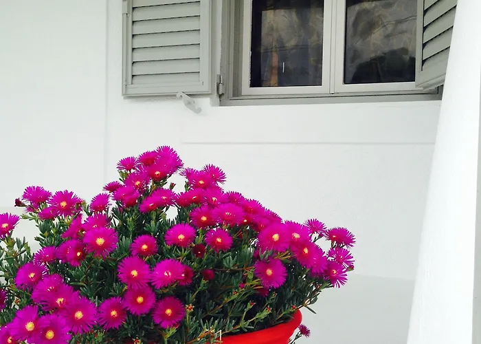 Отель Margarita 3*